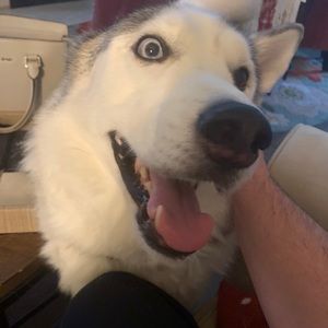 Meet your Posher, Matthew